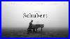 Best Of Schubert Classical Music Gems