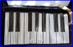 Richter The 100th Anniversary Edition